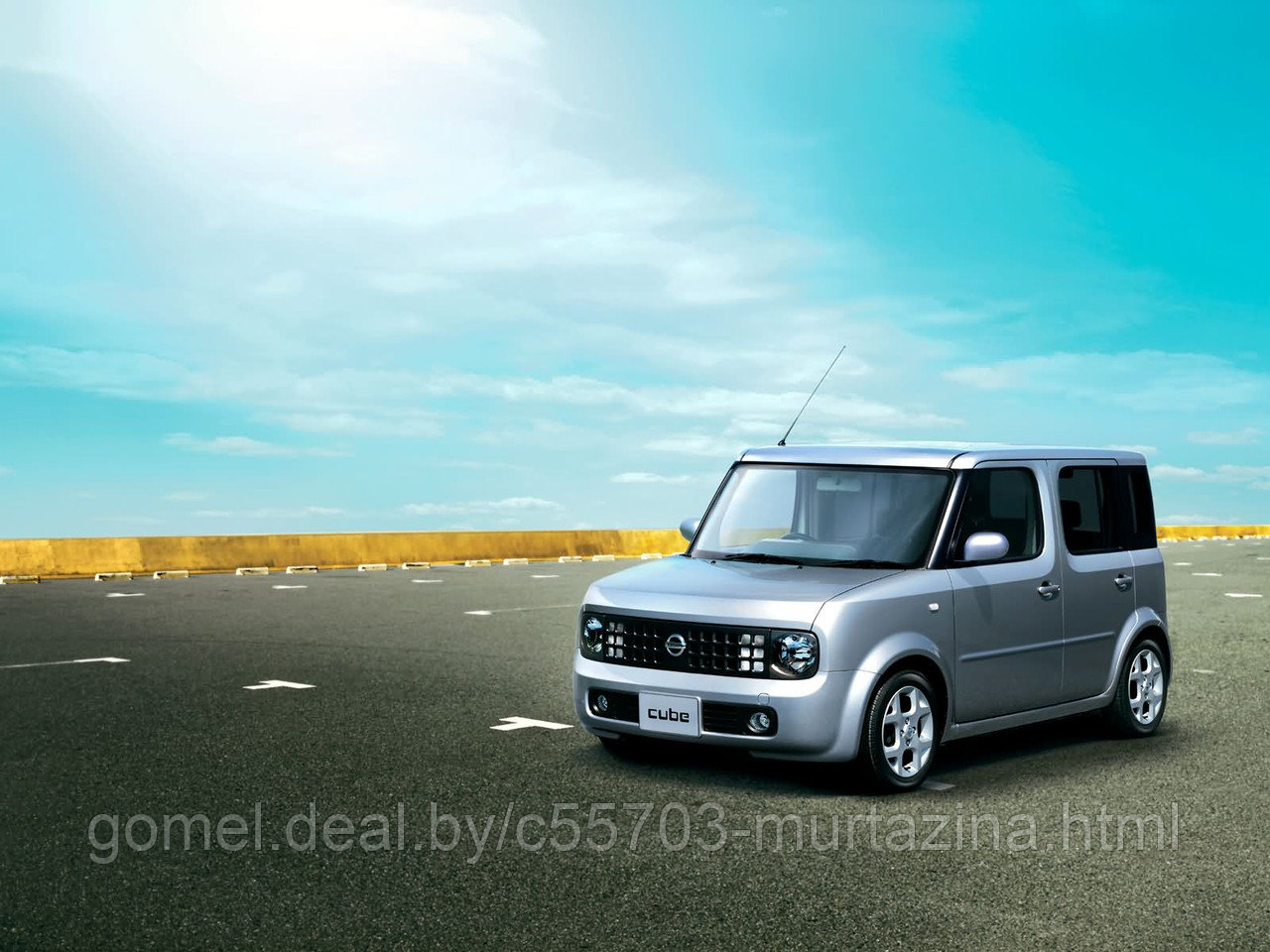 Компьютерная диагностика Nissan Cube - фото 4 - id-p40143843