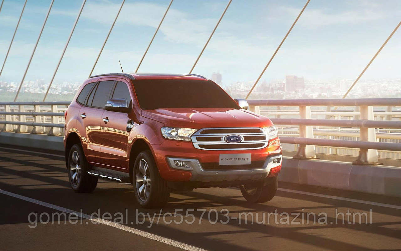 Компьютерная диагностика Ford Everest - фото 1 - id-p40151949