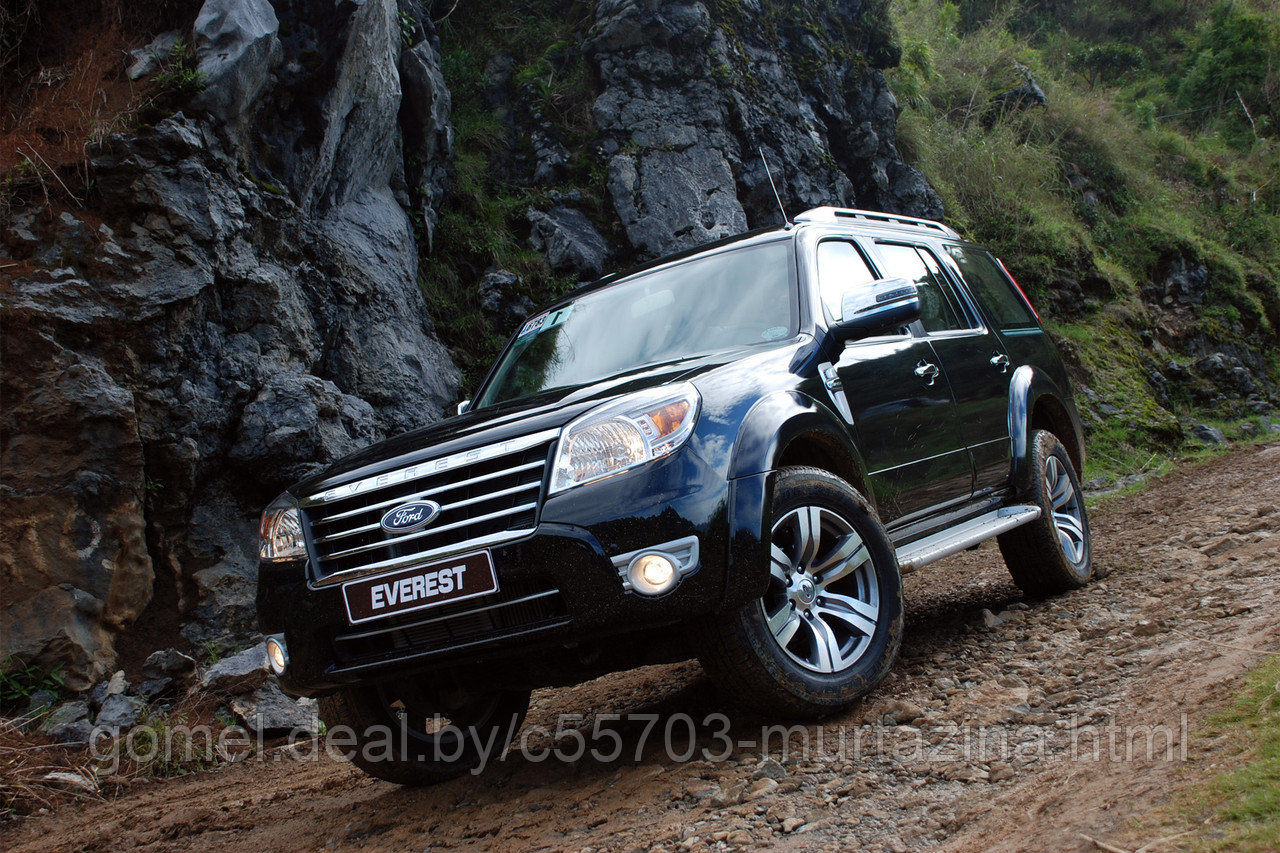 Компьютерная диагностика Ford Everest - фото 3 - id-p40151949