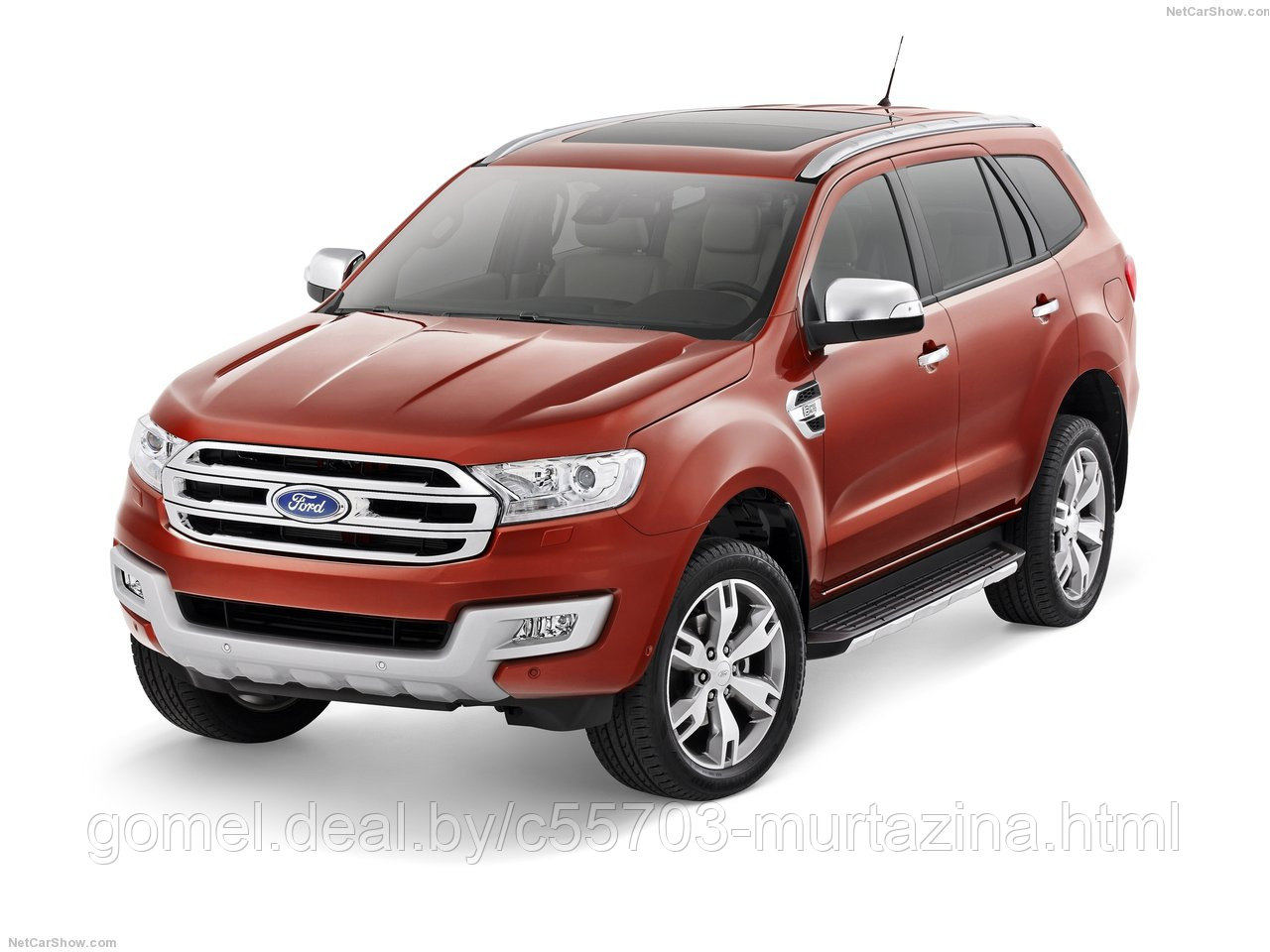 Компьютерная диагностика Ford Everest - фото 4 - id-p40151949