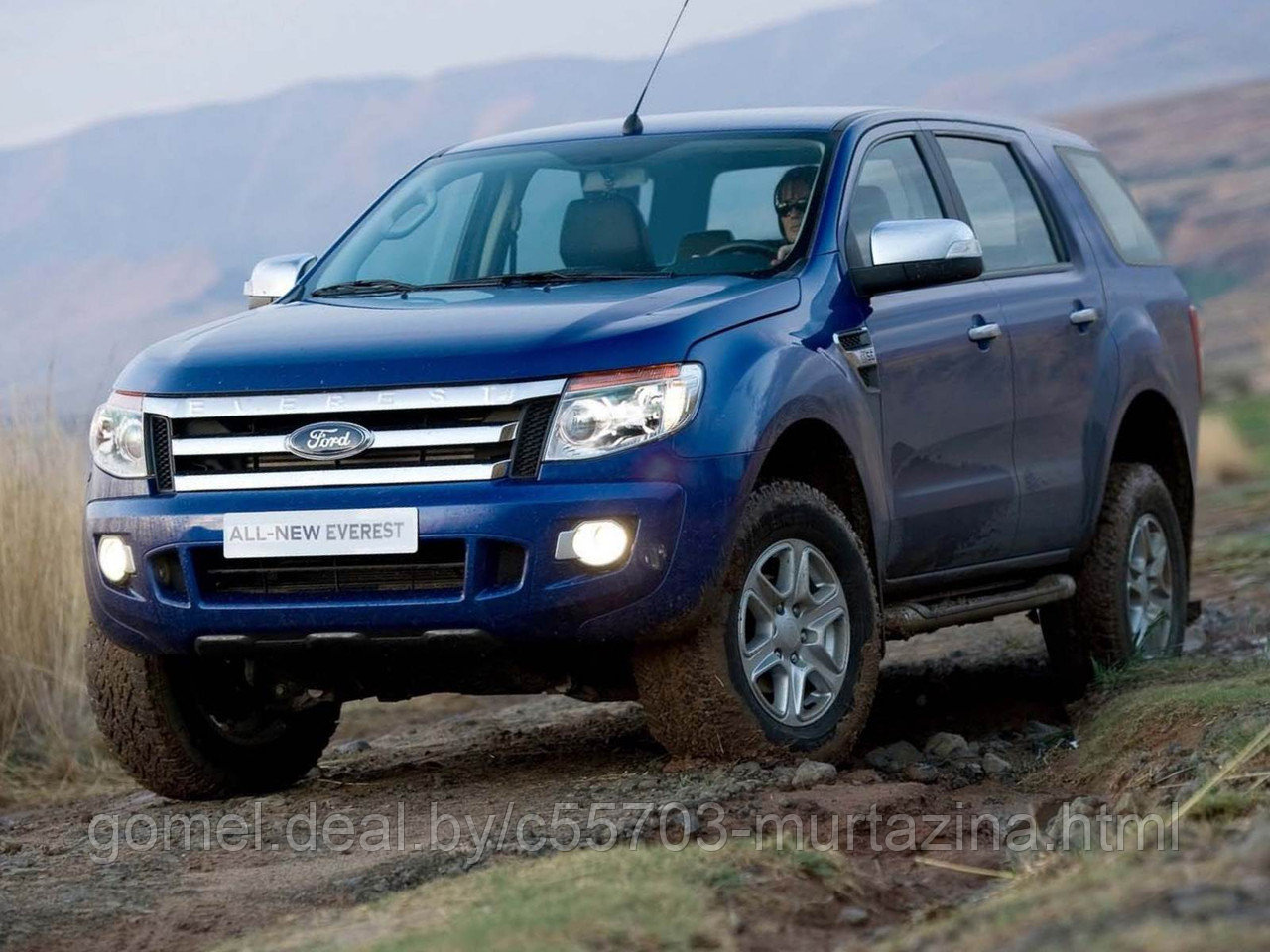 Компьютерная диагностика Ford Everest - фото 5 - id-p40151949