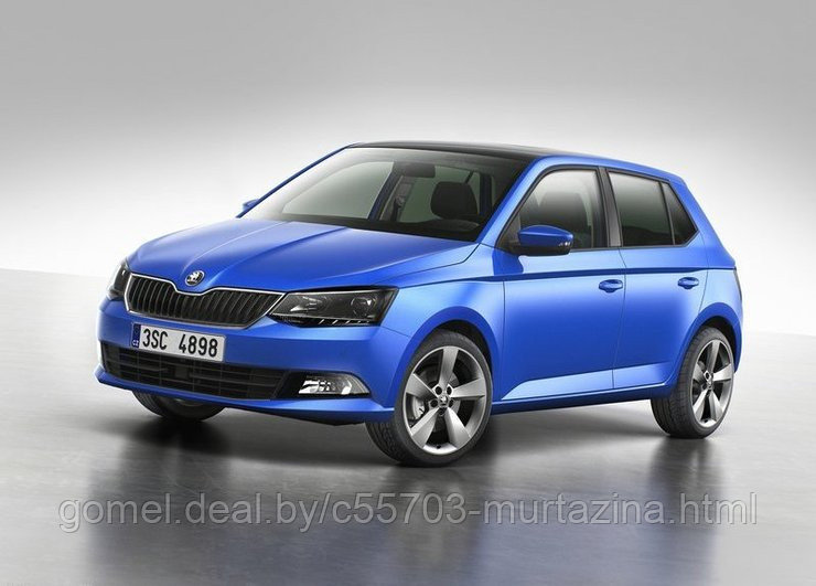 Компьютерная диагностика Skoda Fabia - фото 1 - id-p40371395