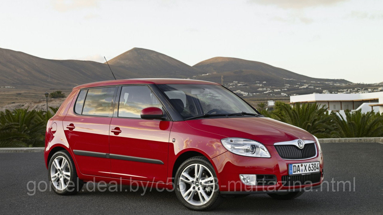 Компьютерная диагностика Skoda Fabia - фото 3 - id-p40371395