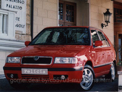 Компьютерная диагностика Skoda Felicia - фото 2 - id-p40371433