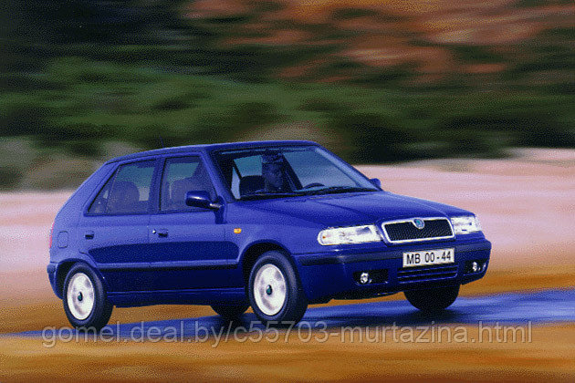 Компьютерная диагностика Skoda Felicia - фото 4 - id-p40371433