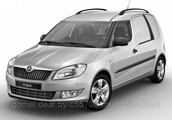 Компьютерная диагностика Skoda Praktik - фото 1 - id-p40371468