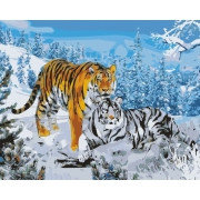 Картина по номерам Два тигра (MG194) 40х50 см