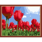 Картина по номерам Тюльпаны (MG215) 40х50 см, фото 2