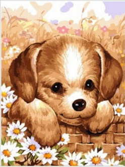 Картина по номерам Милый щенок в лукошке с ромашками 30х40 см - фото 2 - id-p40430893