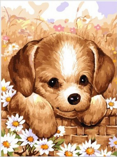 Картина по номерам Милый щенок в лукошке с ромашками 30х40 см - фото 3 - id-p40430893