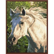Картина по номерам Лошадь №2 (PC3040010) 30х40 см