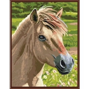 Картина по номерам Лошадь №3 (PC3040011) 30х40 см