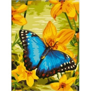 Картина по номерам Синяя бабочка (PC3040013) 30х40 см - фото 1 - id-p40430898