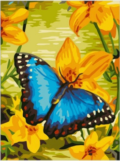 Картина по номерам Синяя бабочка (PC3040013) 30х40 см - фото 2 - id-p40430898