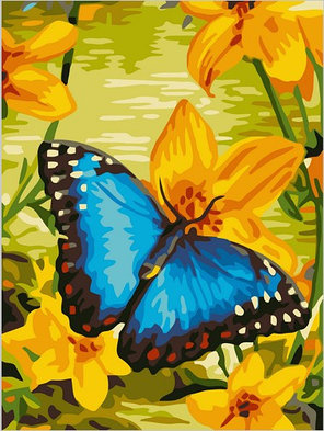 Картина по номерам Синяя бабочка (PC3040013) 30х40 см, фото 2