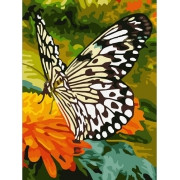 Картина по номерам Бабочка на оранжевых цветах 30х40 см - фото 1 - id-p40430900