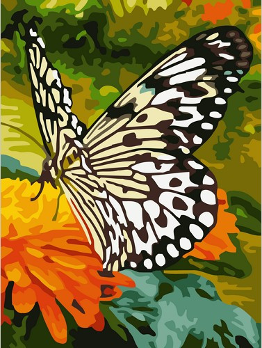 Картина по номерам Бабочка на оранжевых цветах 30х40 см - фото 3 - id-p40430900