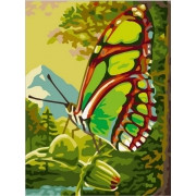 Картина по номерам Зеленая бабочка (PC3040016) 30х40 см - фото 1 - id-p40430901