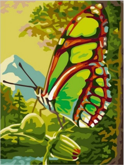Картина по номерам Зеленая бабочка (PC3040016) 30х40 см - фото 2 - id-p40430901