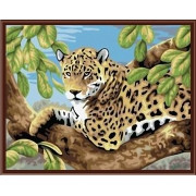 Картина по номерам Леопард (PC4050027) 40х50 см