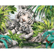Картина по номерам Бенгальские тигры (PC4050100) 40х50 см