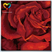 Картина по номерам Бутон розы (HB4040002) 40х40 см, фото 2