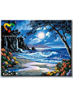 Картина по номерам Лунное побережье (HB4050323) 40х50 см, фото 2