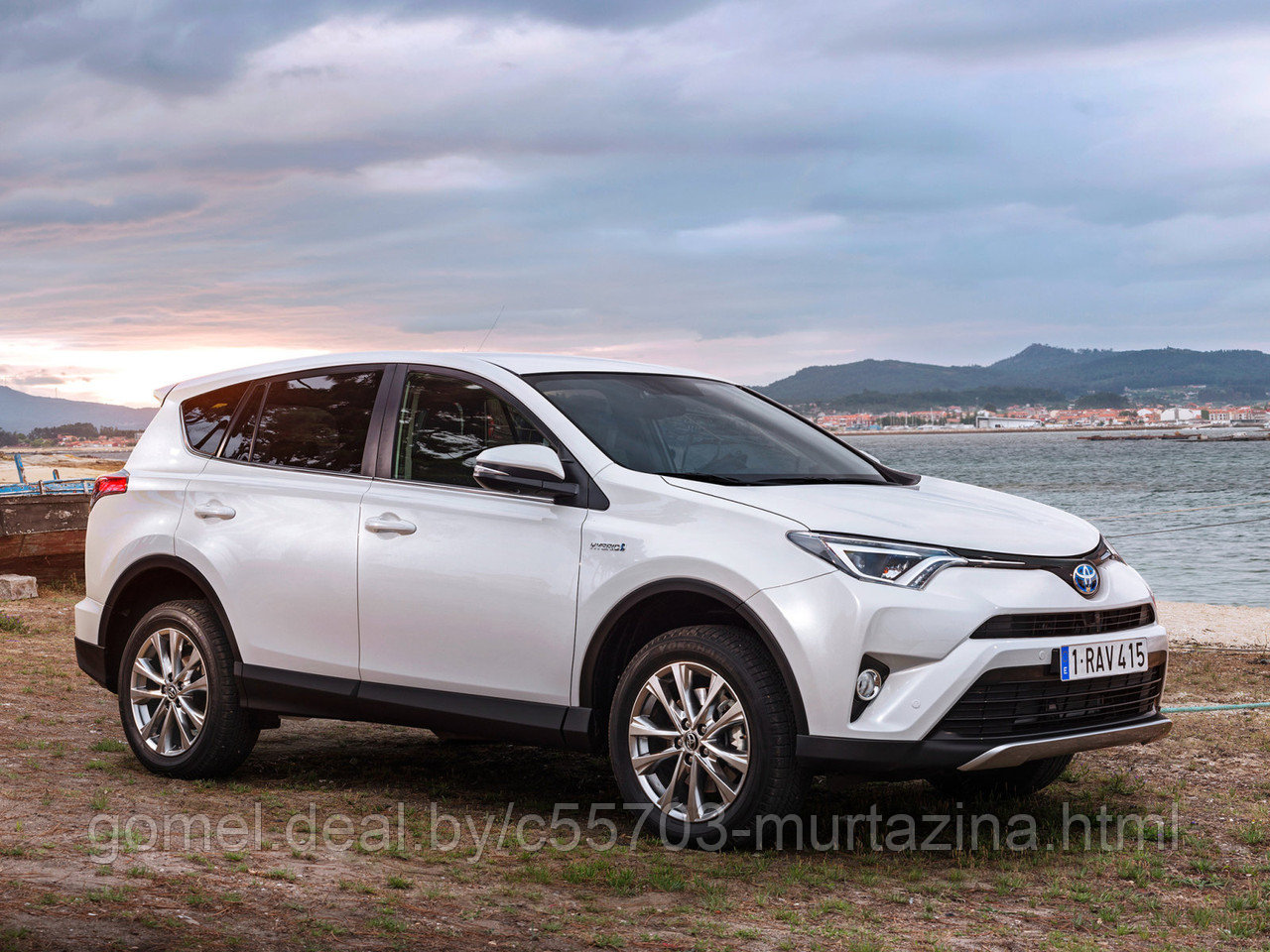 Компьютерная диагностика Toyota Rav4 - фото 4 - id-p40444448