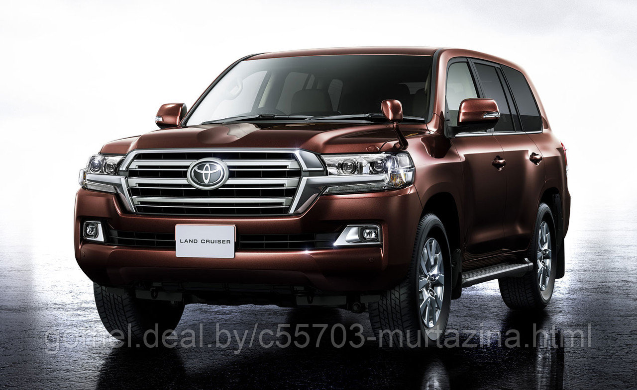 Компьютерная диагностика Toyota Land Cruiser - фото 1 - id-p40444643