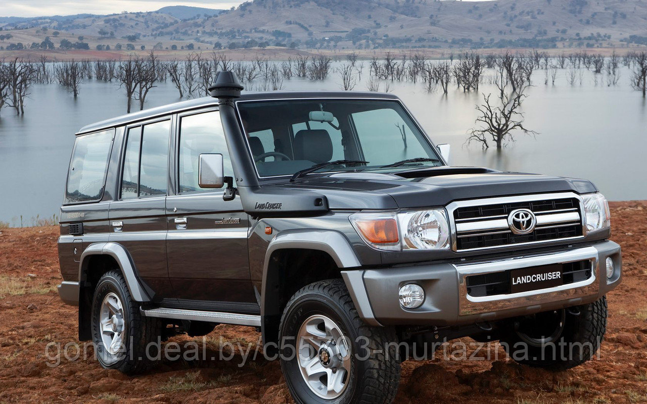 Компьютерная диагностика Toyota Land Cruiser - фото 5 - id-p40444643