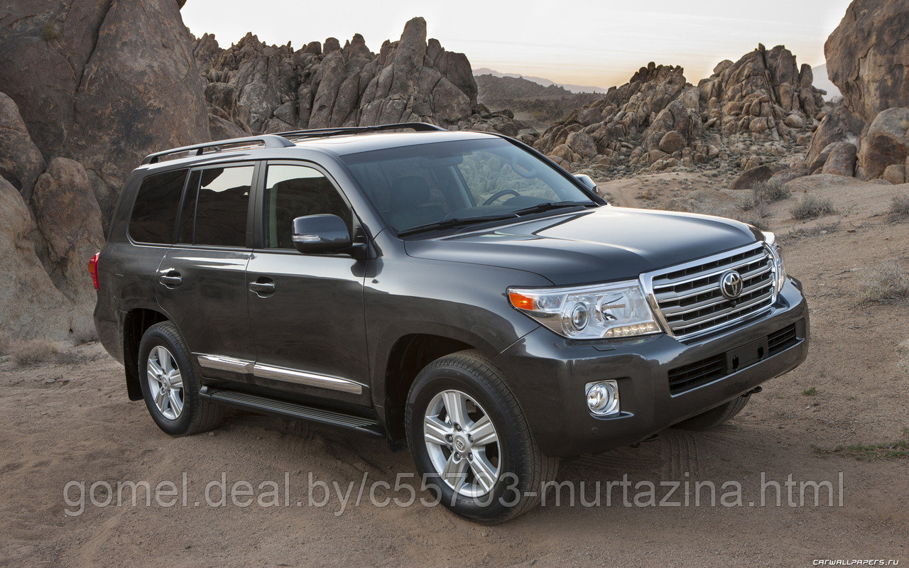 Компьютерная диагностика Toyota Land Cruiser - фото 6 - id-p40444643