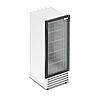 Холодильный шкаф FROSTOR RV300G PRO