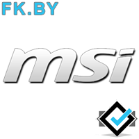 MSI