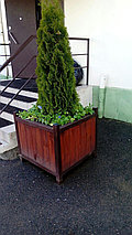Кадки для туи и уличных декоративных деревьев, фото 2