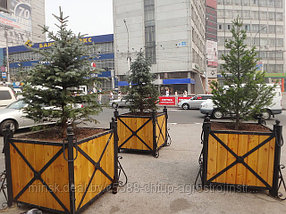 Кадки для туи и уличных декоративных деревьев, фото 3