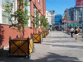Кадки для туи и уличных декоративных деревьев, фото 3