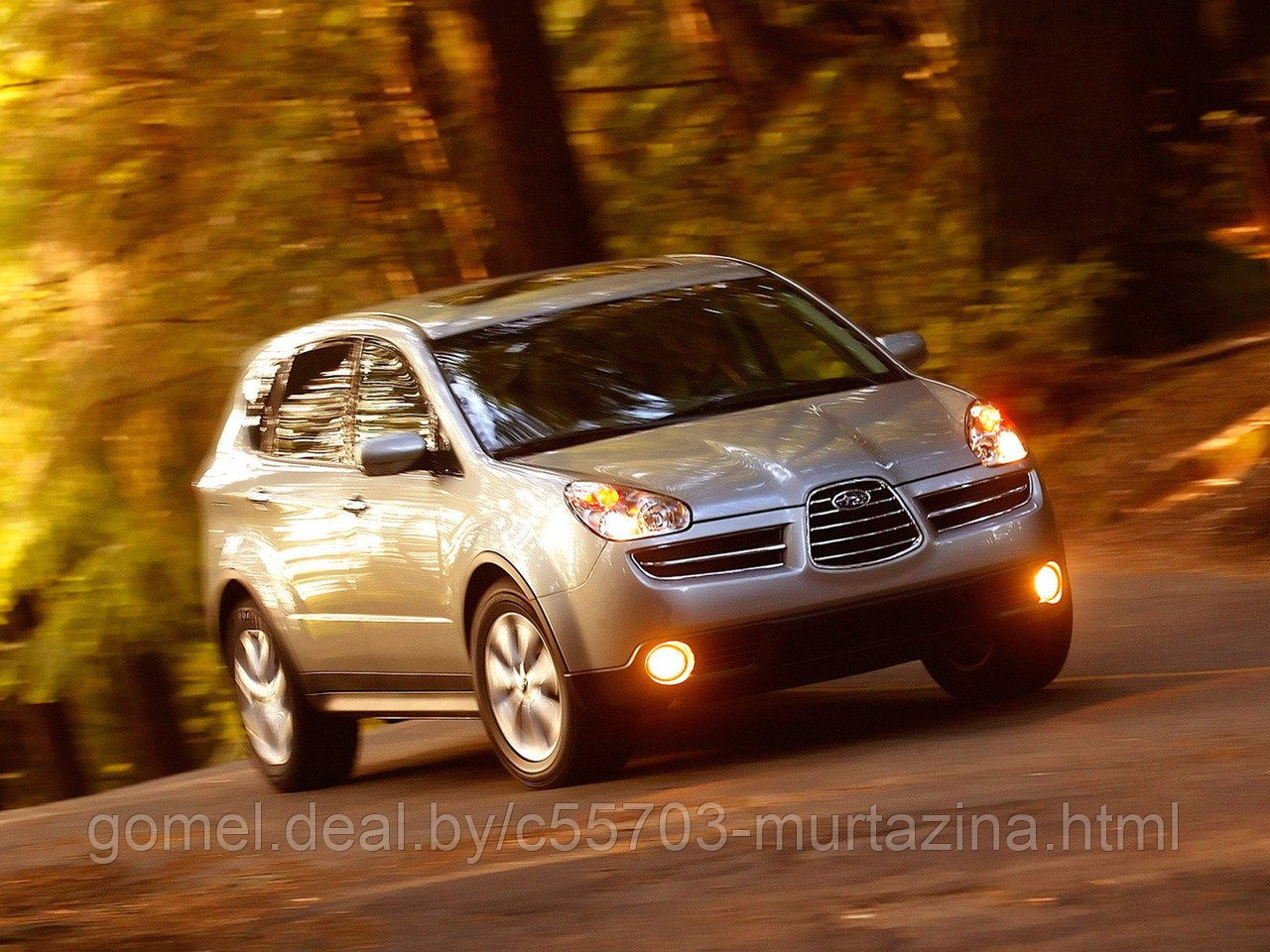 Компьютерная диагностика Subaru Tribeca - фото 2 - id-p41703428