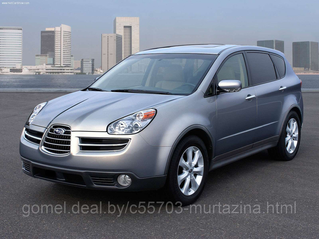 Компьютерная диагностика Subaru Tribeca - фото 4 - id-p41703428