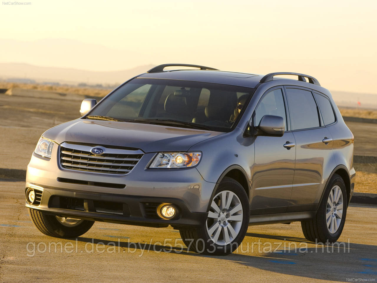 Компьютерная диагностика Subaru Tribeca - фото 5 - id-p41703428