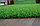 Искусственный газон Oryzon Erba, "OROTEX" Бельгия, фото 3