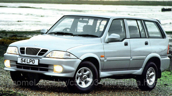 Компьютерная диагностика Daewoo Musso - фото 5 - id-p41872376