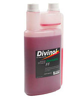 Масло моторное DIVINOL 2-х тактное полусинтетическое с дозатором (1 л)