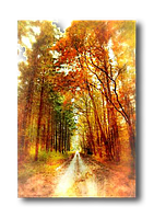 Фотохолст на подрамнике 50х80 см "Осенние краски"