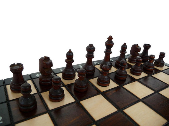 Шахматы и нарды ручной работы арт. 142, фото 2
