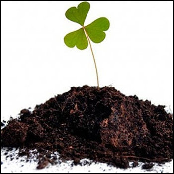 Почвогрунты