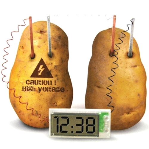 Исследовательский набор "Картофельные часы " - фото 3 - id-p43564664