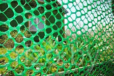 Заборная решетка "Ю15", 40х40мм,"Х", Зеленый, Хаки