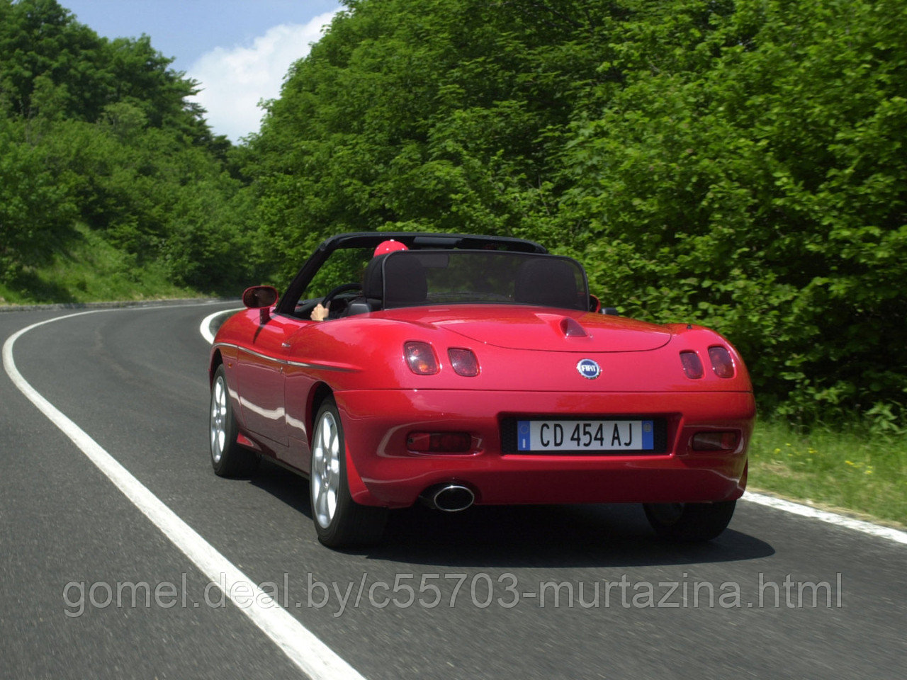 Компьютерная диагностика Fiat Barchetta - фото 3 - id-p43661582