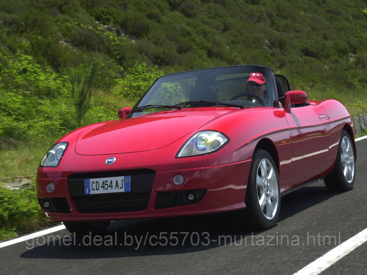 Компьютерная диагностика Fiat Barchetta - фото 4 - id-p43661582