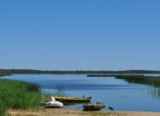 Платная рыбалка